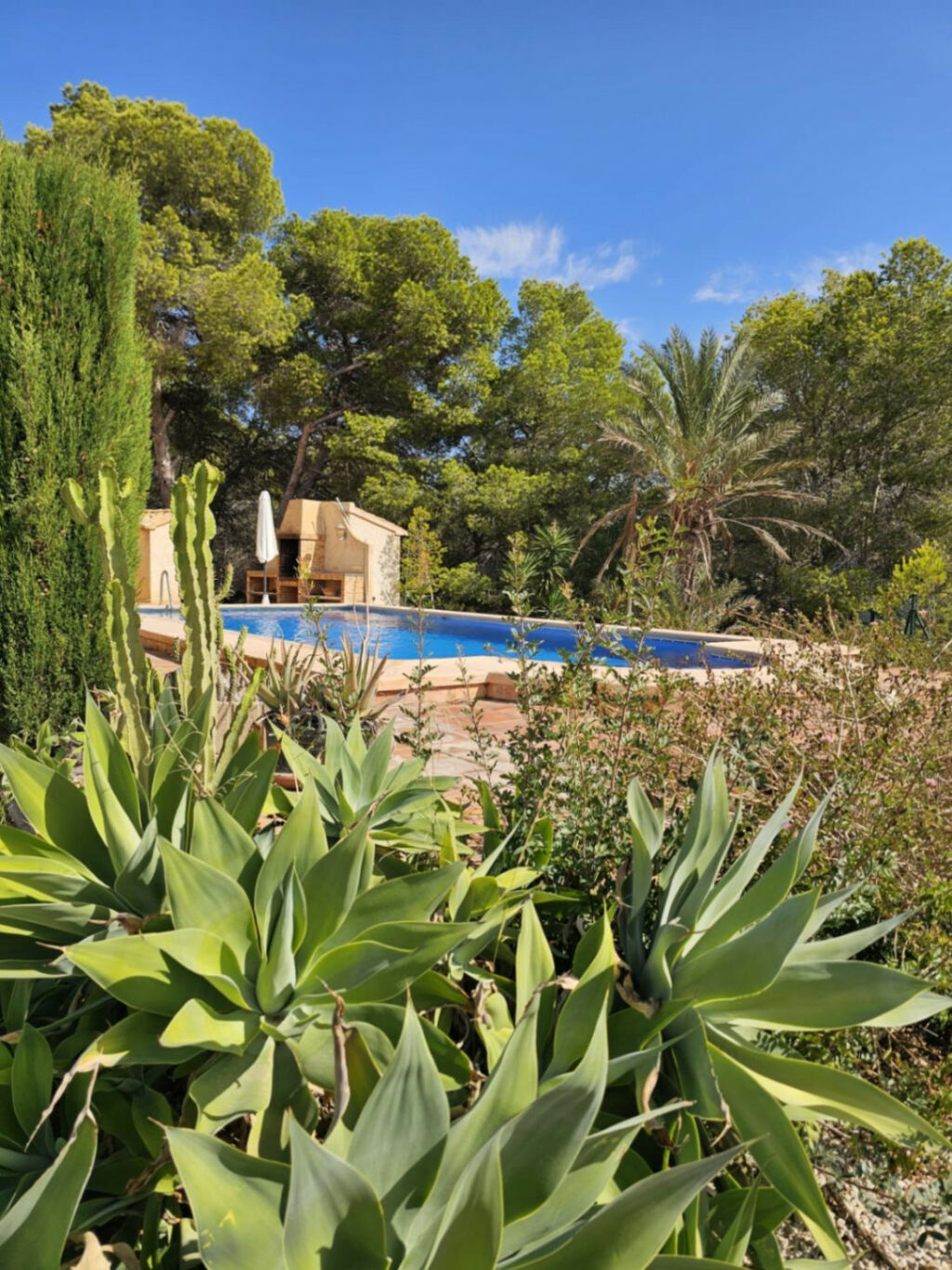 Finca - Cortijo Calpe Alicante - image 46