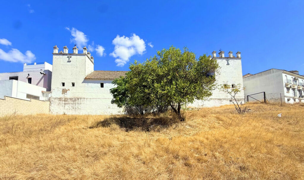 Finca - Cortijo Arcos de la Frontera Cádiz - image 46