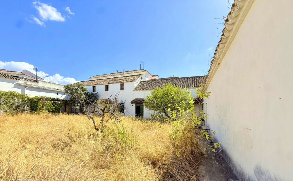Finca - Cortijo Arcos de la Frontera Cádiz - image 47