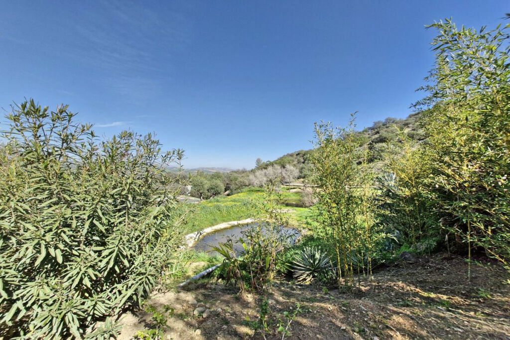 Finca - Cortijo Coín Málaga - image 47