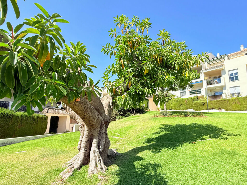 Ground Floor Apartment Puerto Banús Málaga - image 48