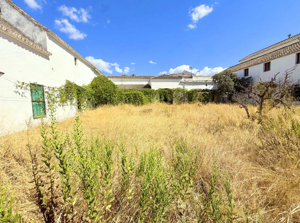 Finca - Cortijo Arcos de la Frontera Cádiz - image 48