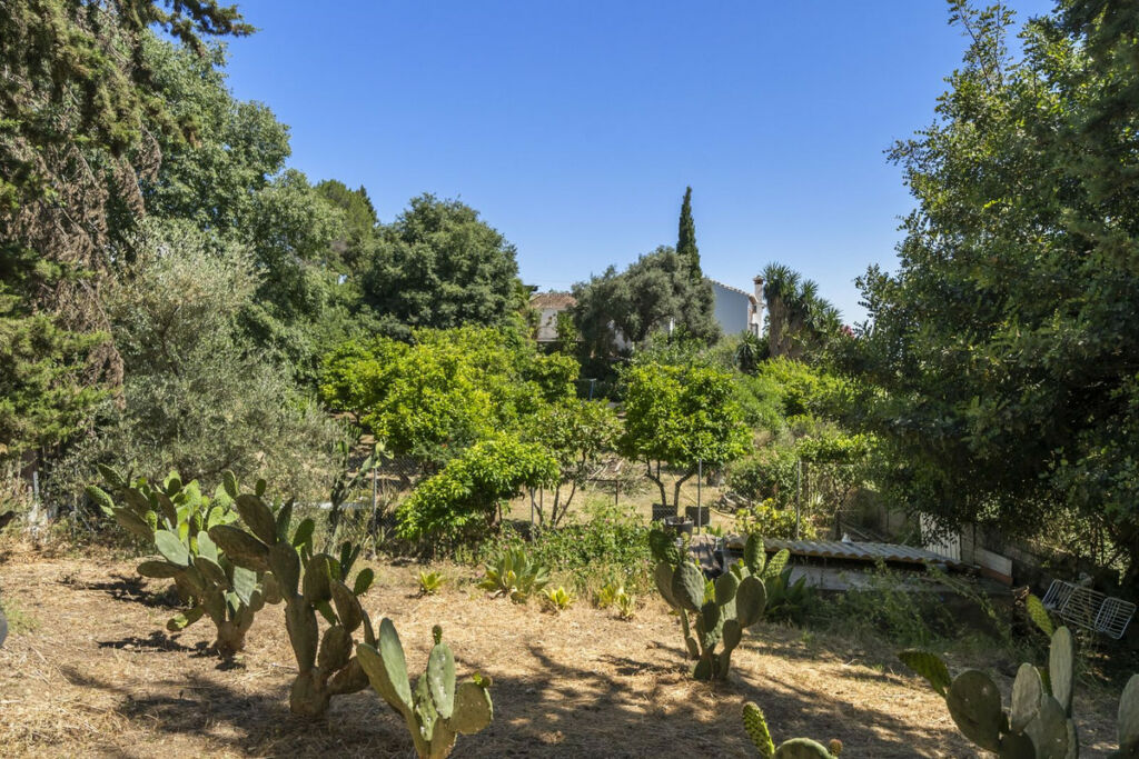 Finca - Cortijo Mijas Málaga - image 48