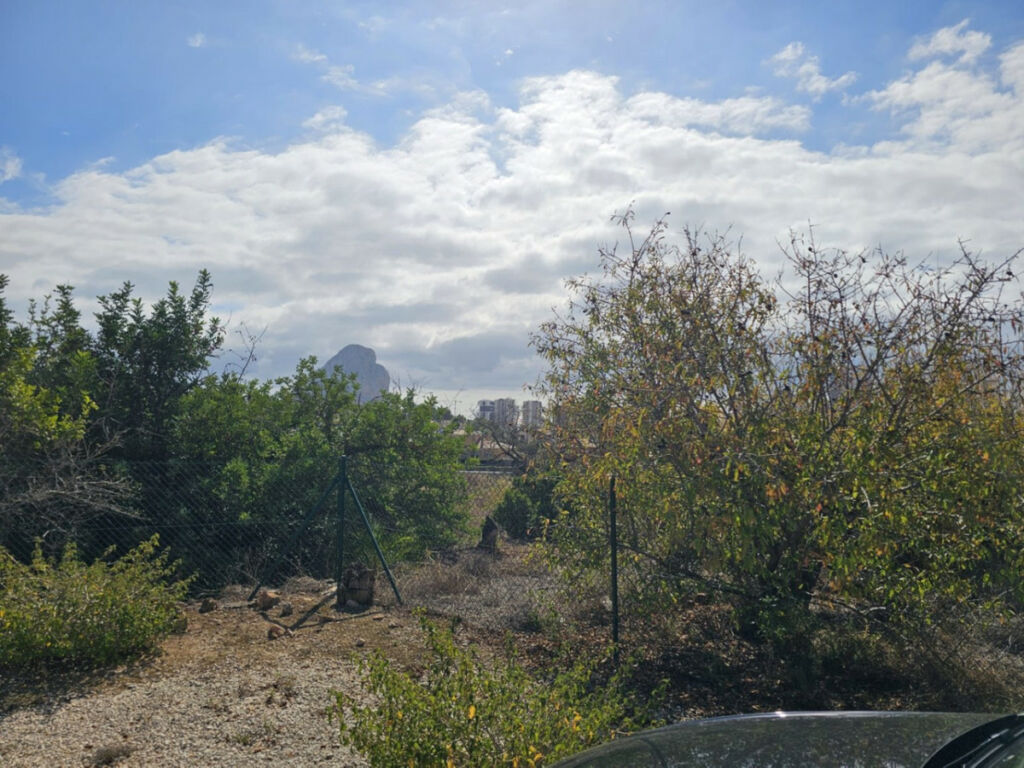 Finca - Cortijo Calpe Alicante - image 49