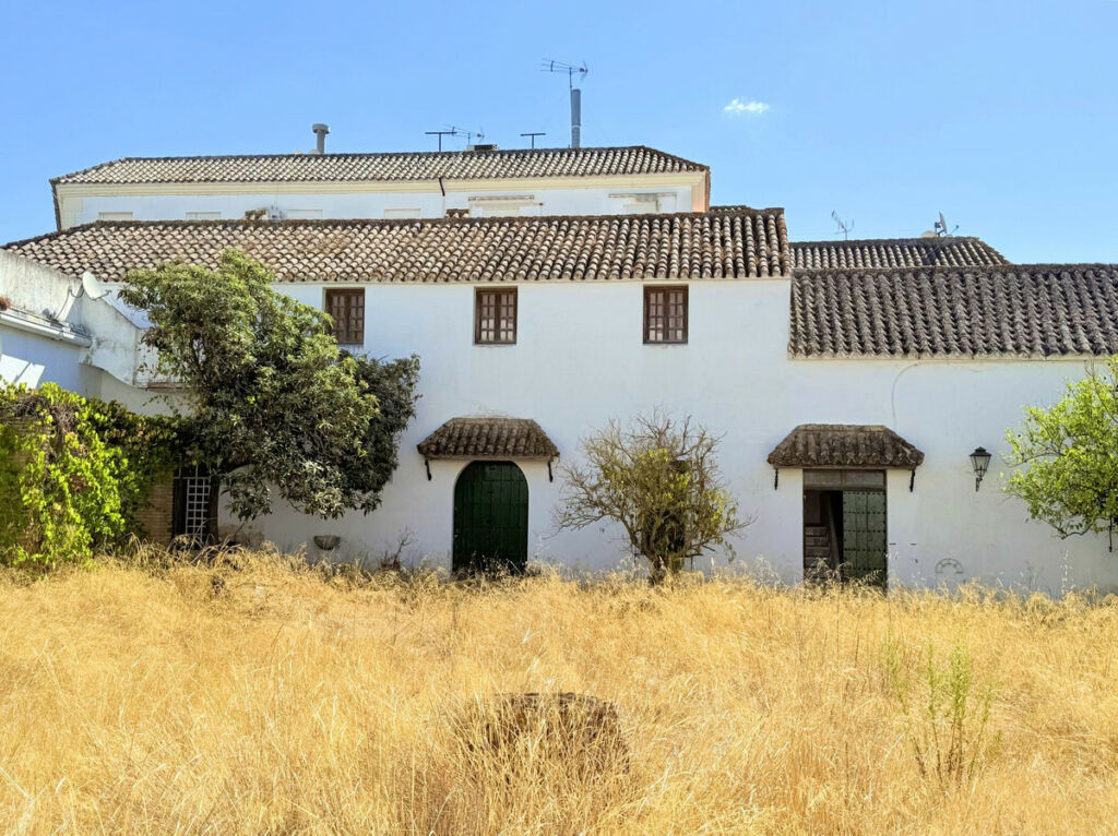 Finca - Cortijo Arcos de la Frontera Cádiz - image 49