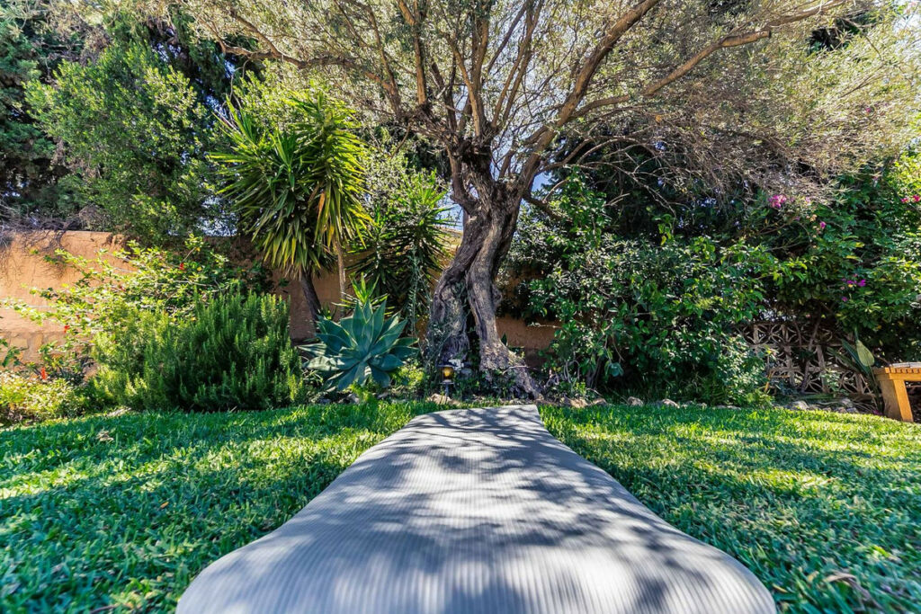 Detached Villa Benalmadena Málaga - image 49