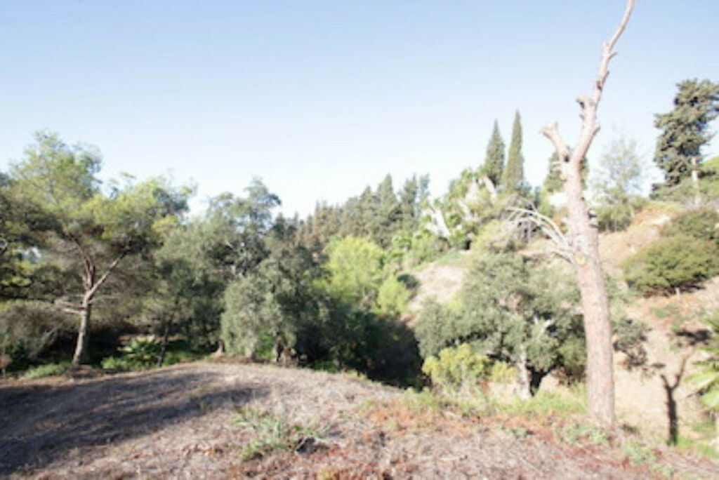Residential Plot Hacienda Las Chapas Málaga - image 5