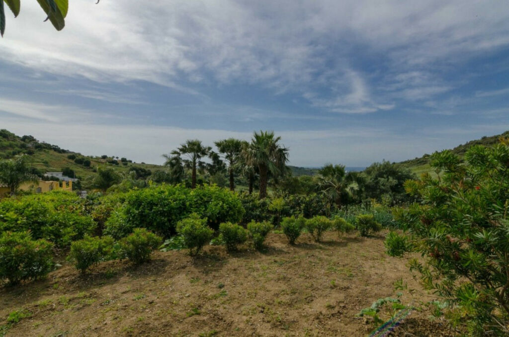 Detached Villa Estepona Málaga - image 5