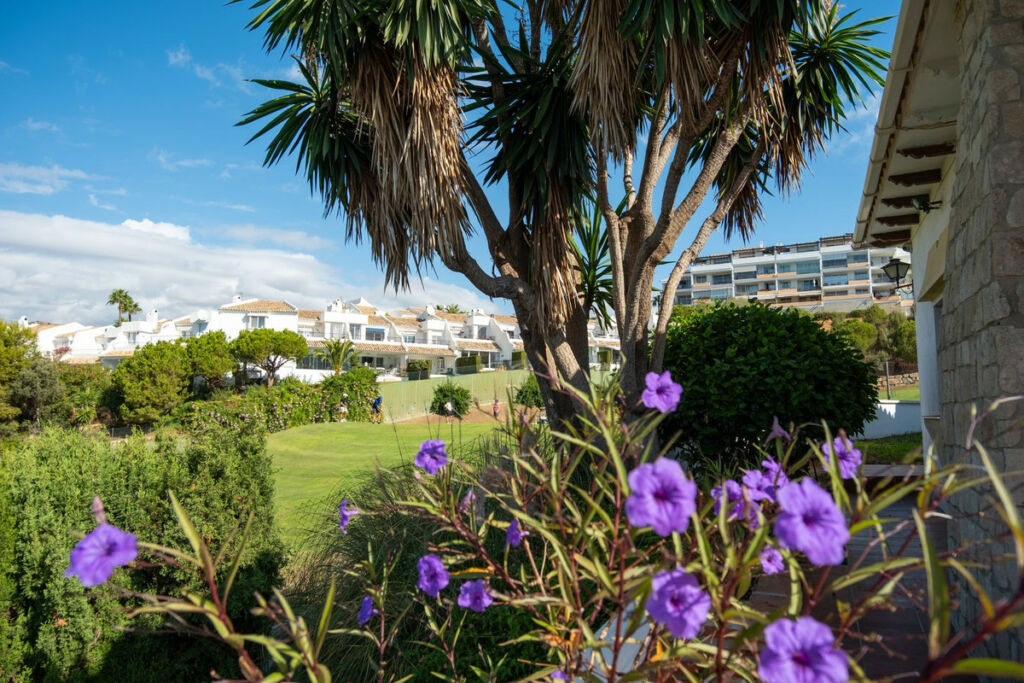 Detached Villa Riviera del Sol Málaga - image 5