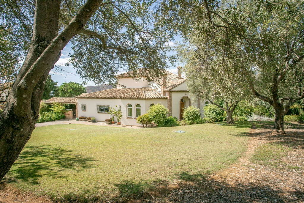 Detached Villa Istán Málaga - image 5