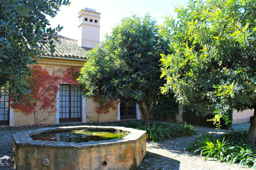Finca - Cortijo Ronda Málaga - image 5