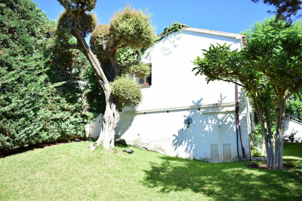 Finca - Cortijo Marbesa Málaga - image 5