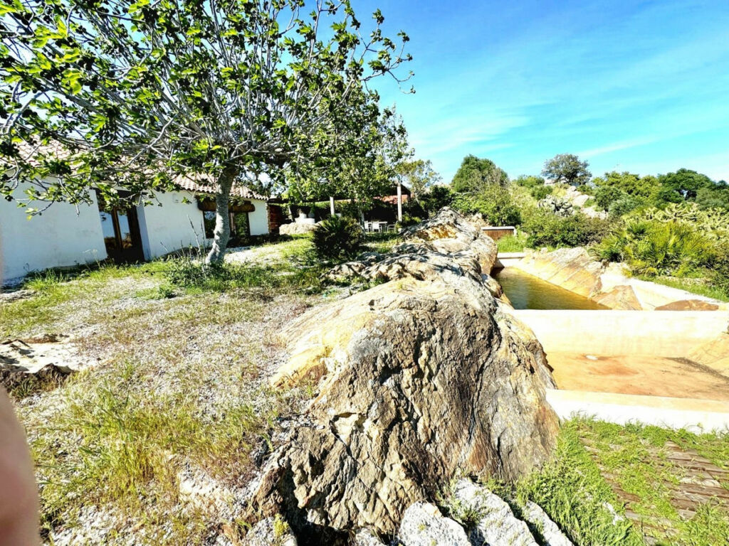 Finca - Cortijo Castellar de la Frontera Cádiz - image 5