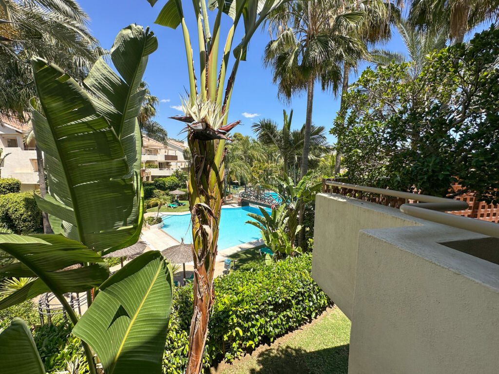 Ground Floor Apartment Marbella Málaga - image 5