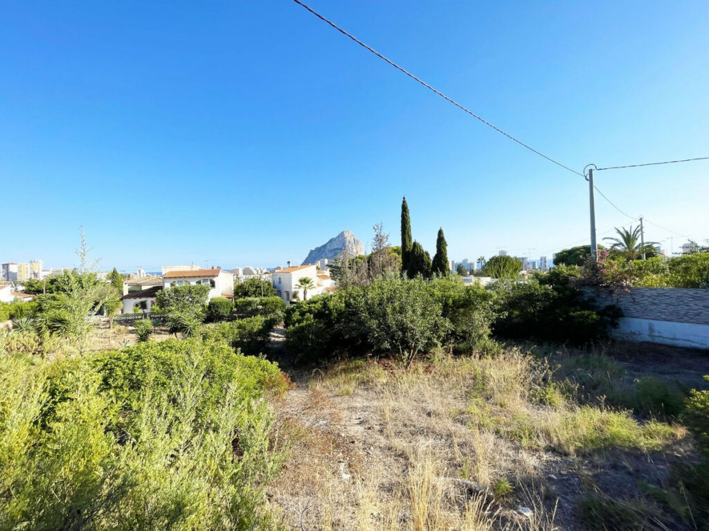 Detached Villa Calpe Alicante - image 50