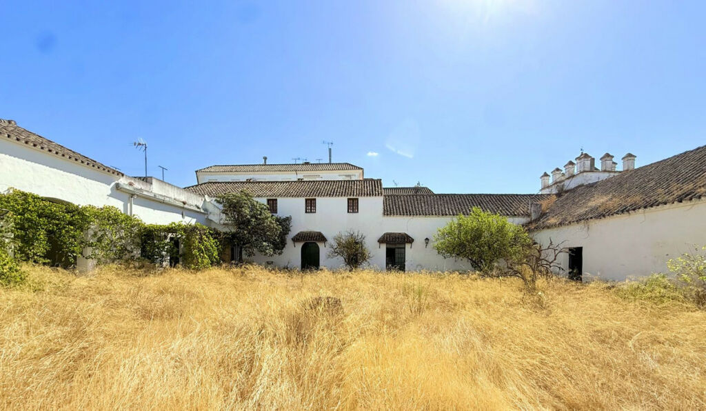 Finca - Cortijo Arcos de la Frontera Cádiz - image 50