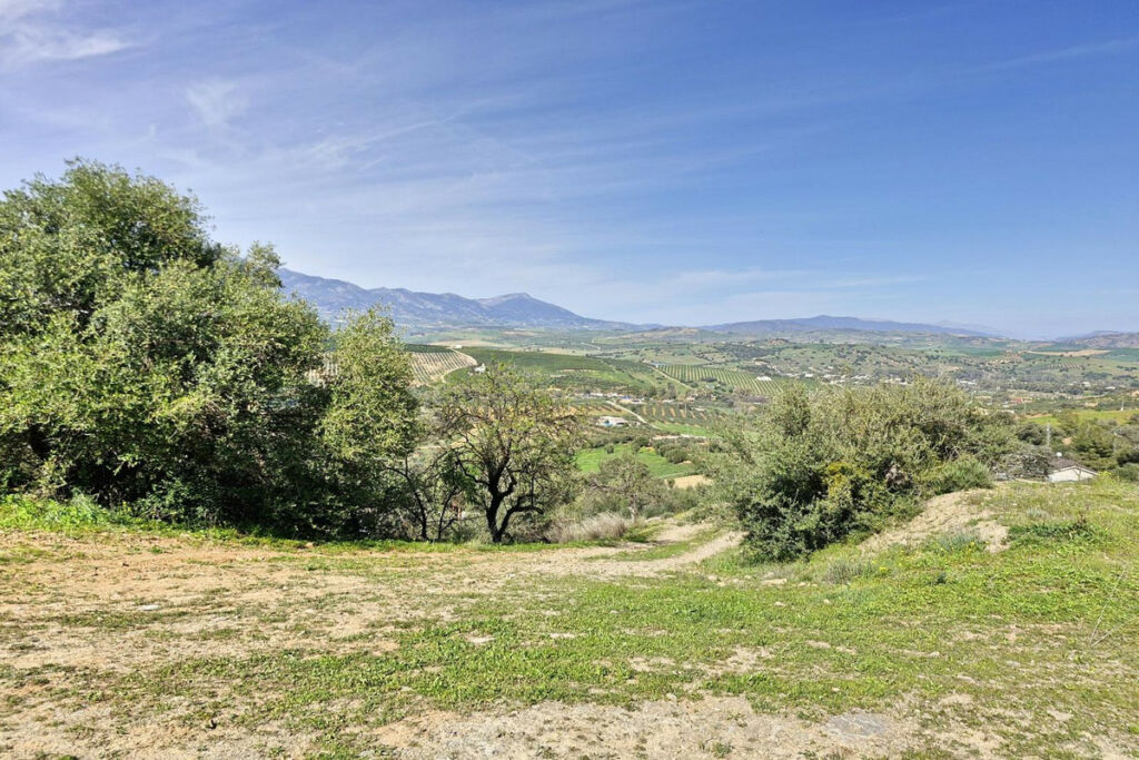 Finca - Cortijo Coín Málaga - image 50