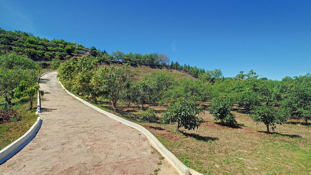 Finca - Cortijo Vélez-Málaga Málaga - image 51