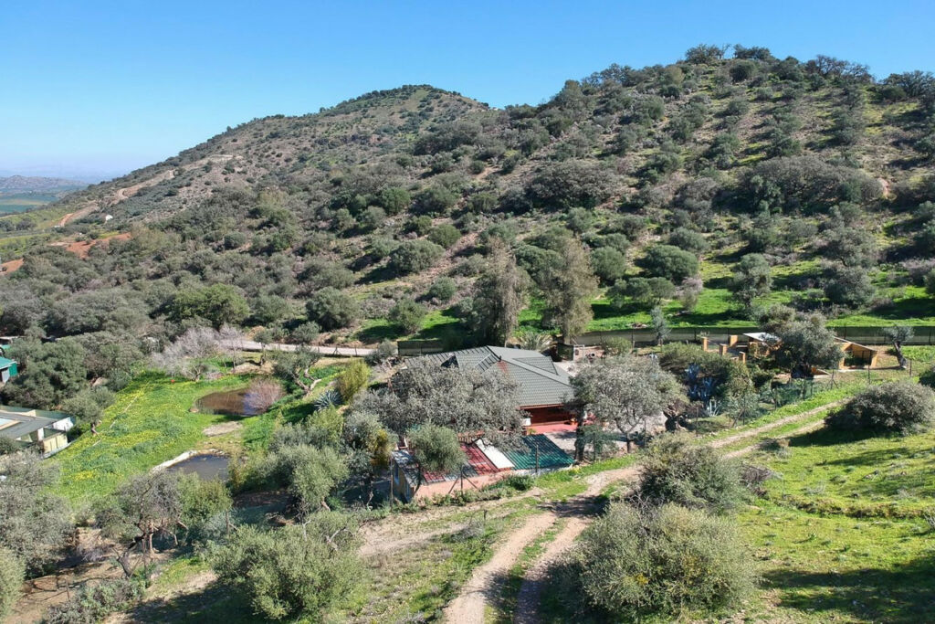 Finca - Cortijo Coín Málaga - image 54