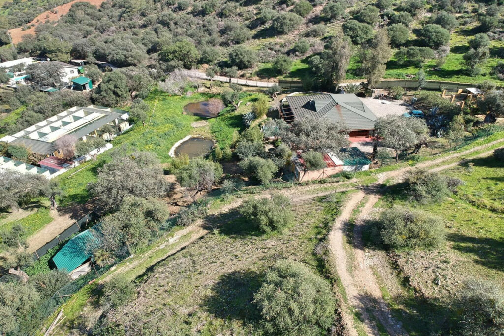 Finca - Cortijo Coín Málaga - image 55