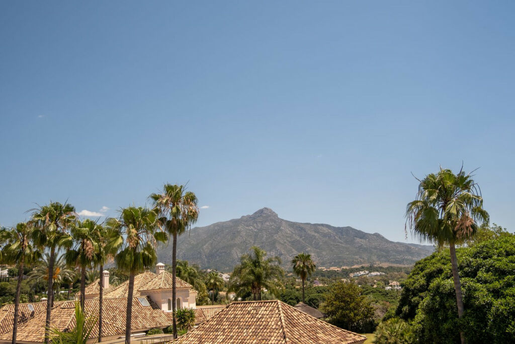 Detached Villa Nueva Andalucía Málaga - image 57