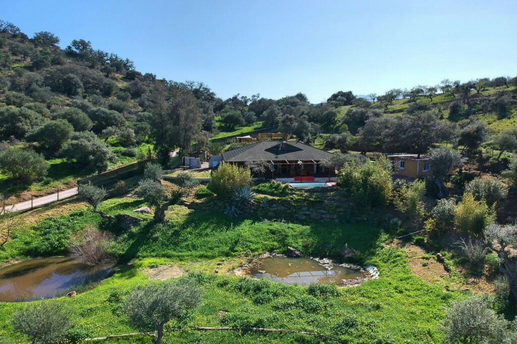 Finca - Cortijo Coín Málaga - image 57