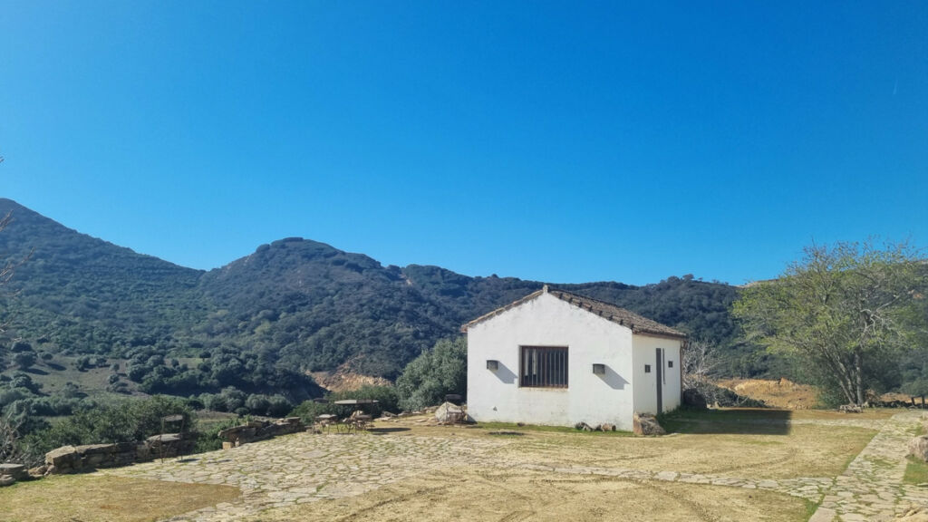 Finca - Cortijo Castellar de la Frontera Cádiz - image 6