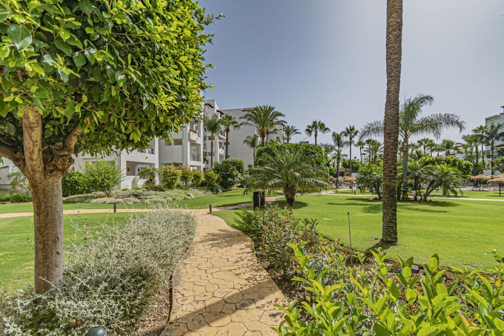 Middle Floor Apartment Costalita Málaga - image 6