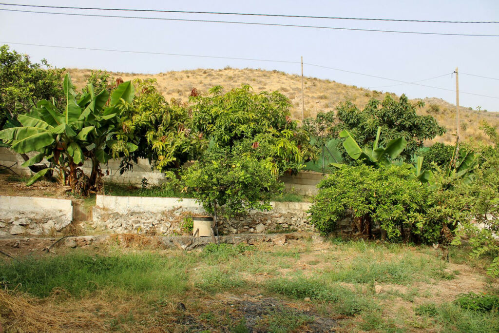 Detached Villa Nerja Málaga - image 6