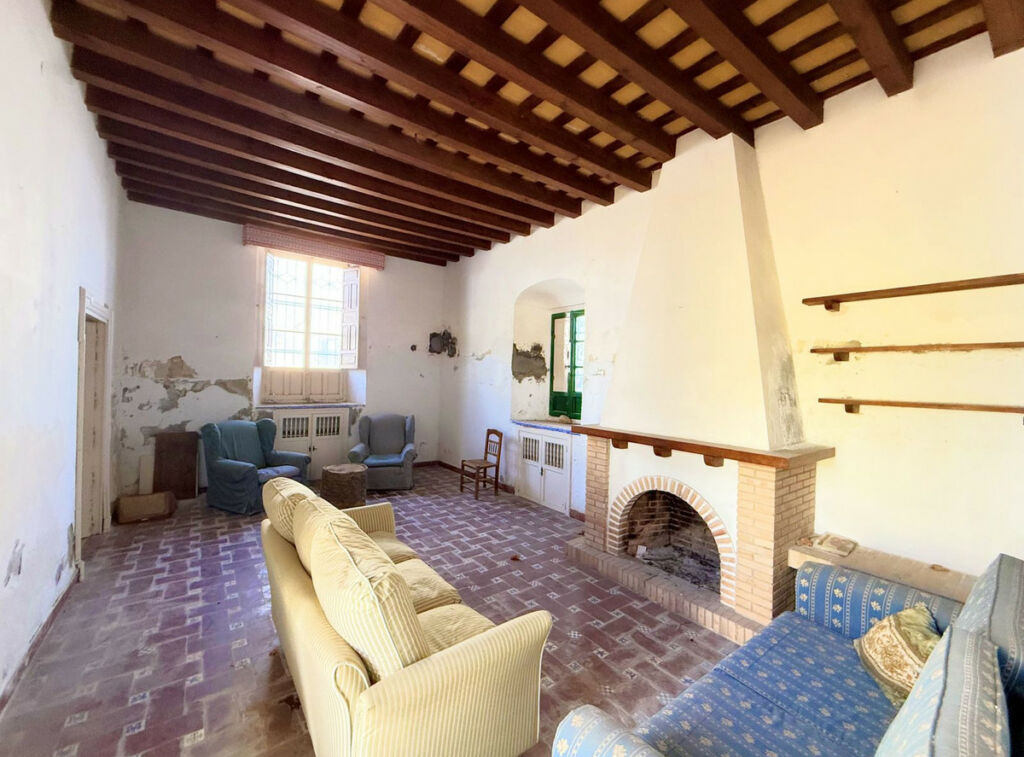 Finca - Cortijo Arcos de la Frontera Cádiz - image 6