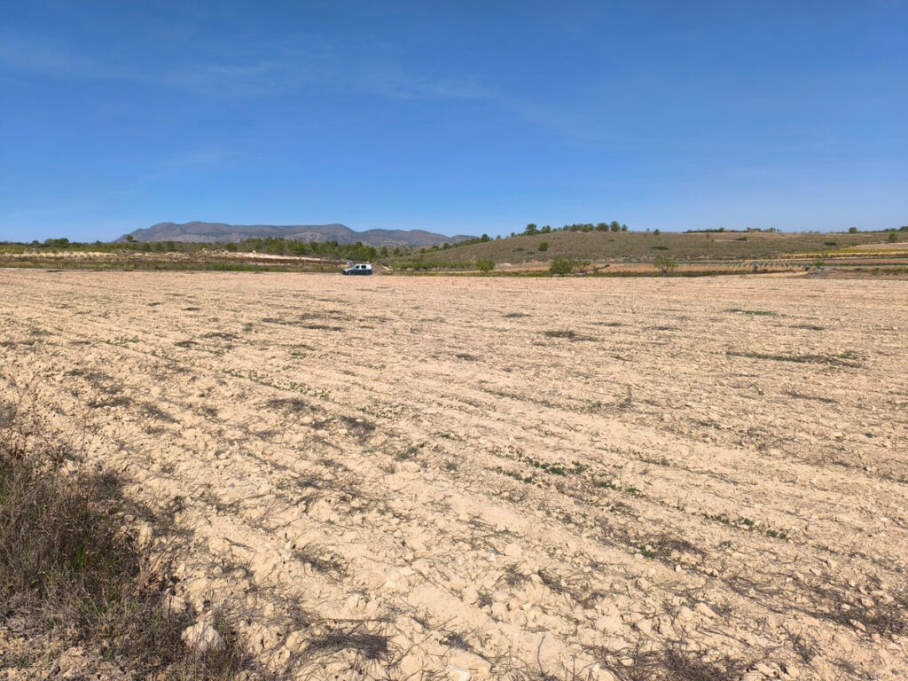 Land Pinoso Alicante - image 6