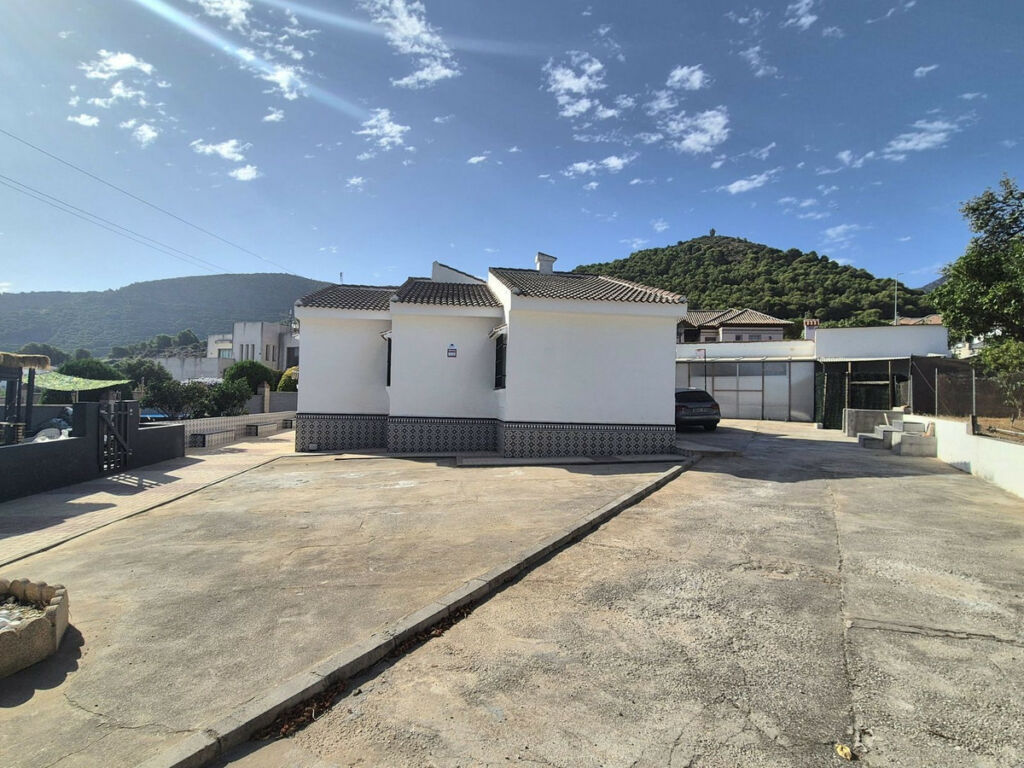 Detached Villa Alhaurín de la Torre Málaga - image 60