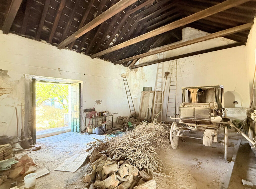 Finca - Cortijo Arcos de la Frontera Cádiz - image 60