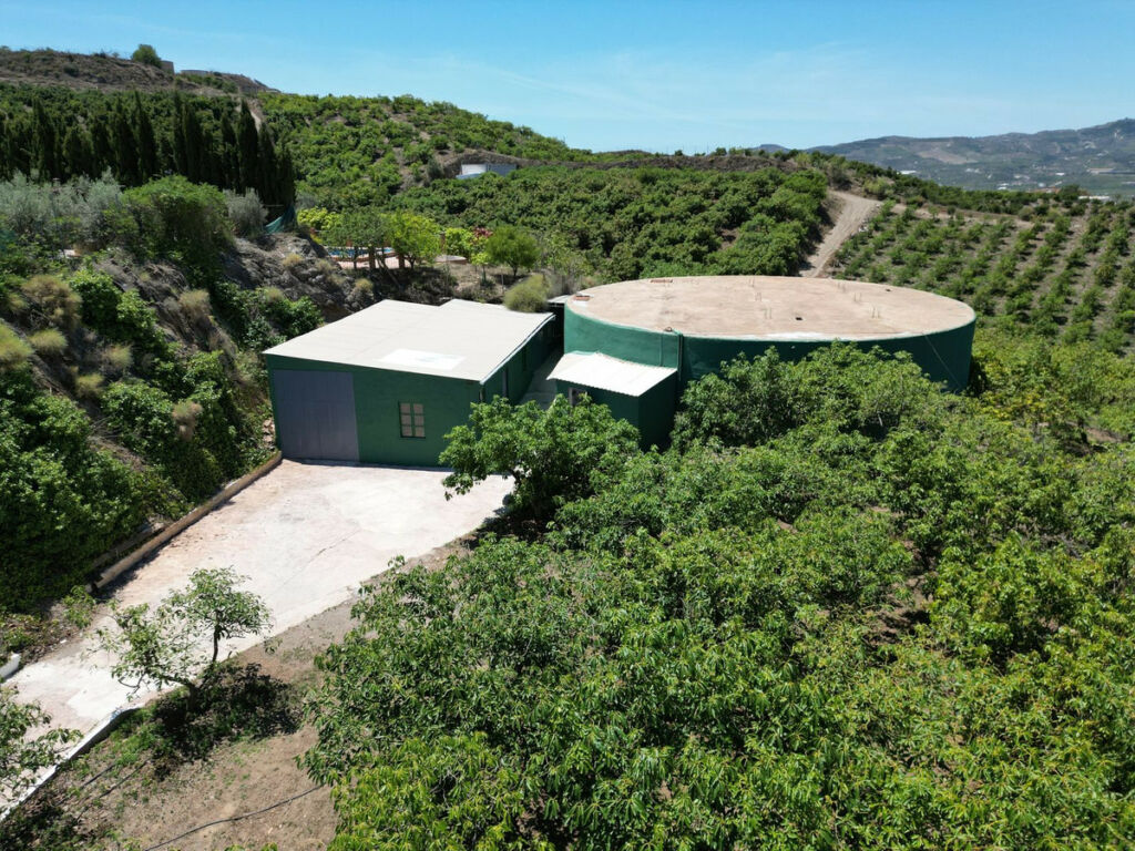 Finca - Cortijo Vélez-Málaga Málaga - image 61