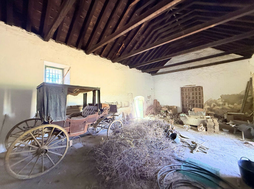 Finca - Cortijo Arcos de la Frontera Cádiz - image 62