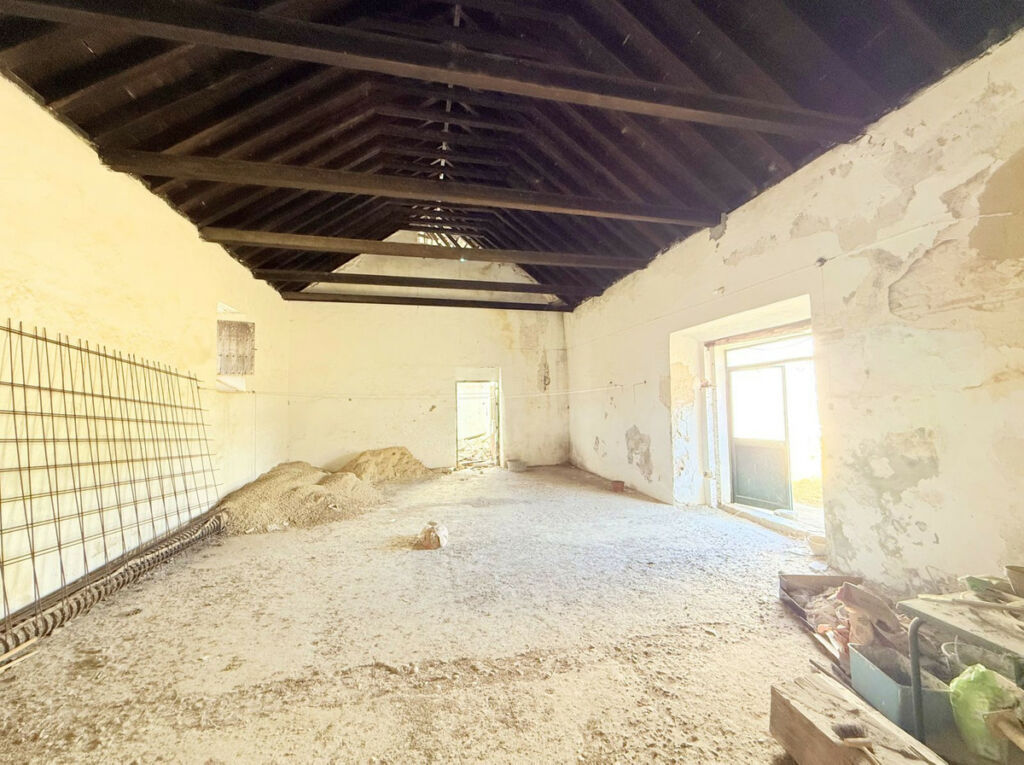 Finca - Cortijo Arcos de la Frontera Cádiz - image 63