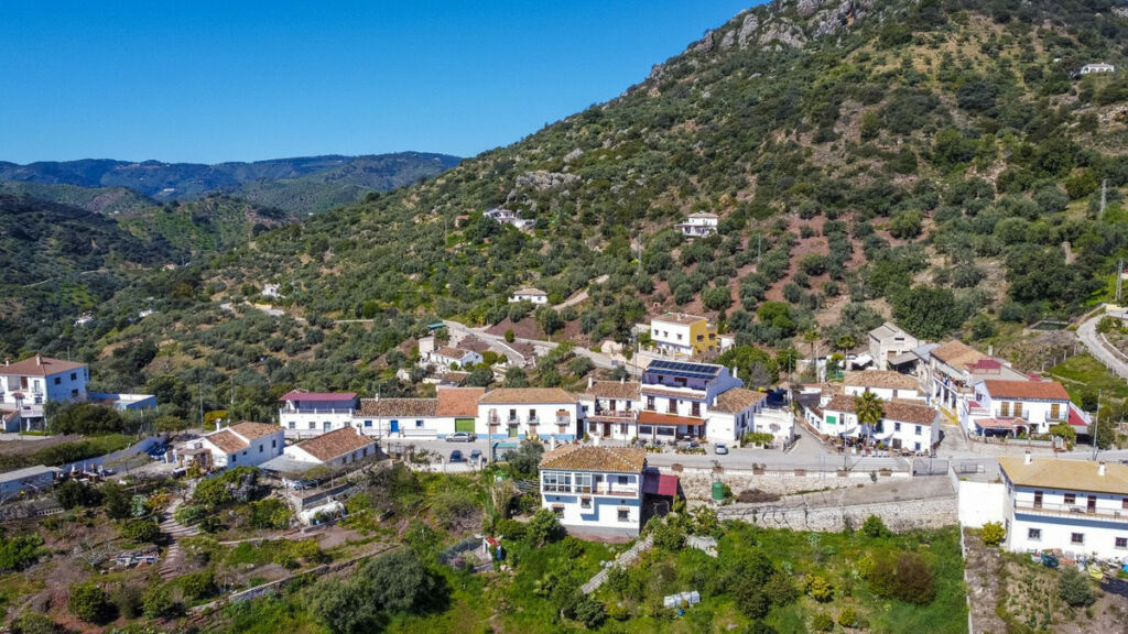 Finca - Cortijo Comares Málaga - image 68
