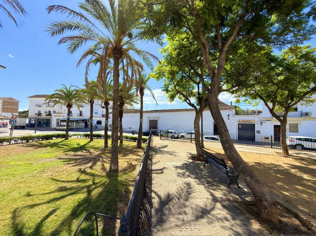 Finca - Cortijo Arcos de la Frontera Cádiz - image 69