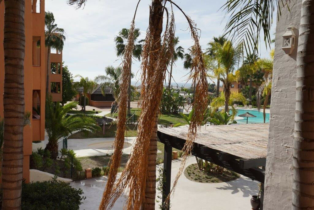 Ground Floor Apartment Estepona Málaga - image 7