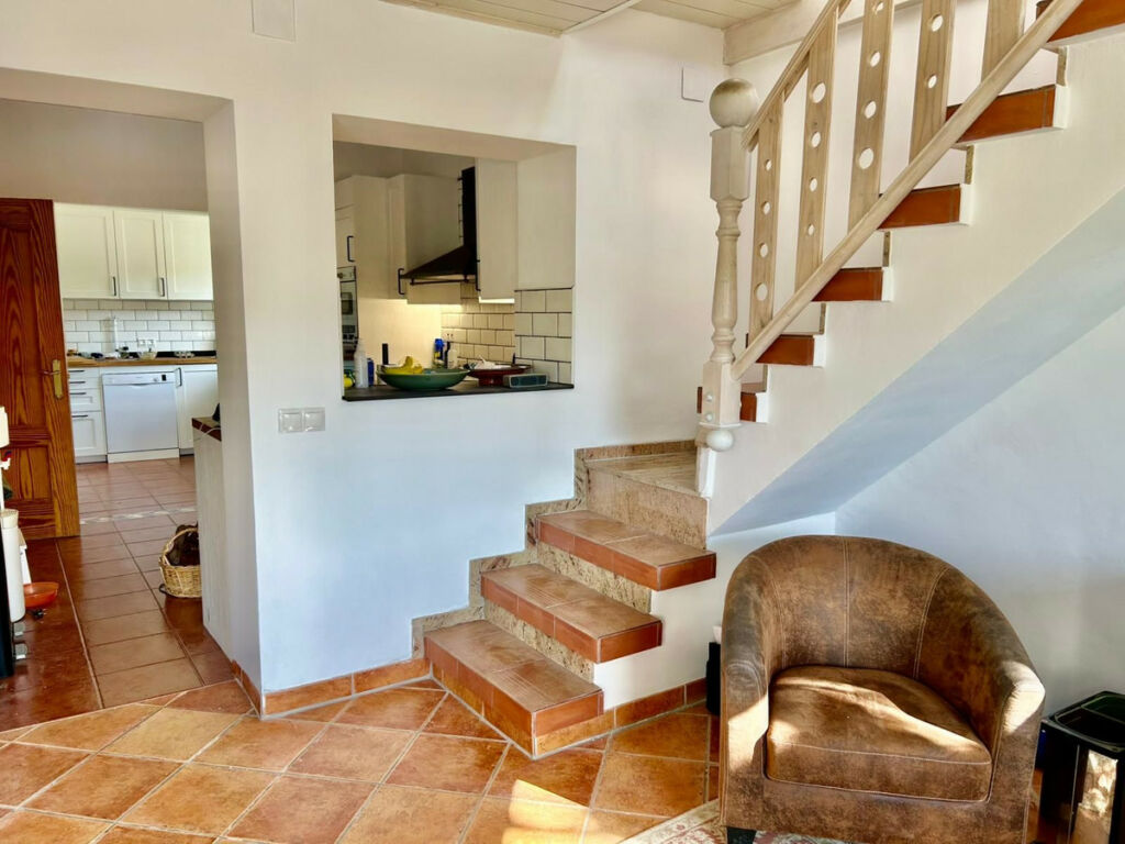 Detached Villa Alcaucín Málaga - image 7