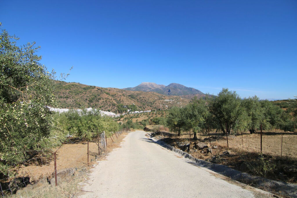 Land Tolox Málaga - image 7
