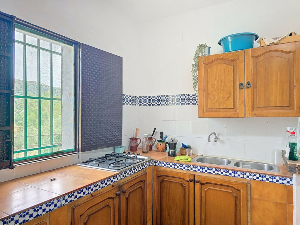 Finca - Cortijo Alora Málaga - image 7