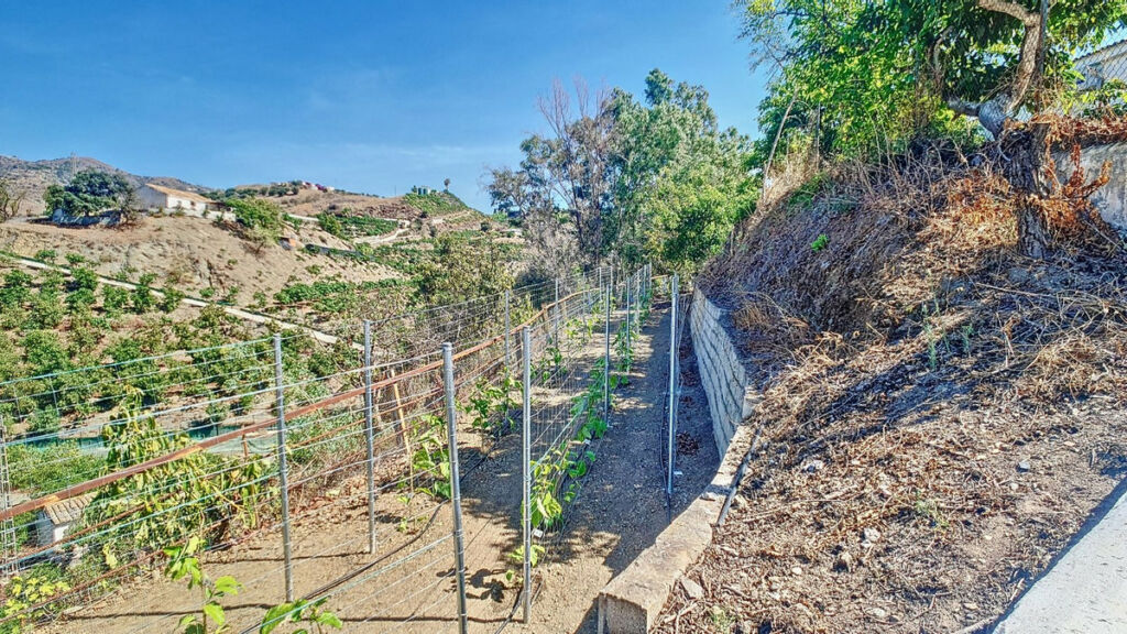 Finca - Cortijo Vélez-Málaga Málaga - image 71