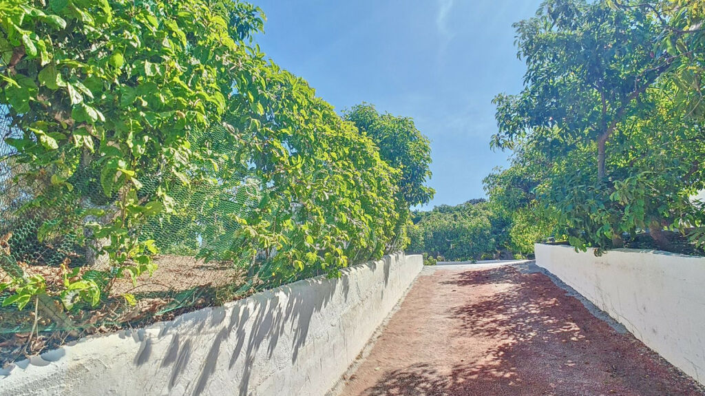 Finca - Cortijo Vélez-Málaga Málaga - image 73