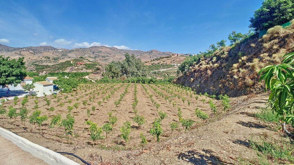 Finca - Cortijo Vélez-Málaga Málaga - image 77