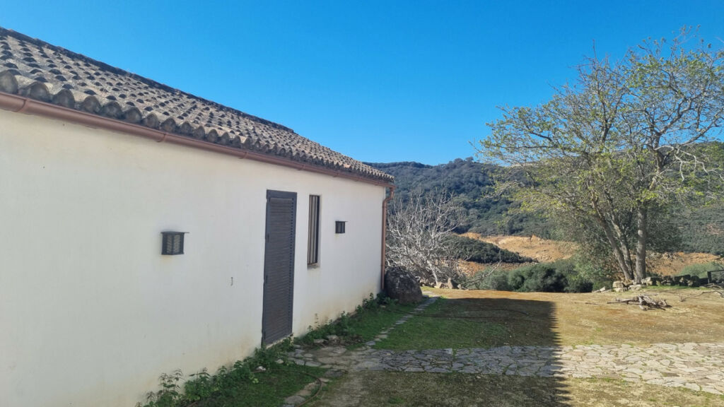 Finca - Cortijo Castellar de la Frontera Cádiz - image 8