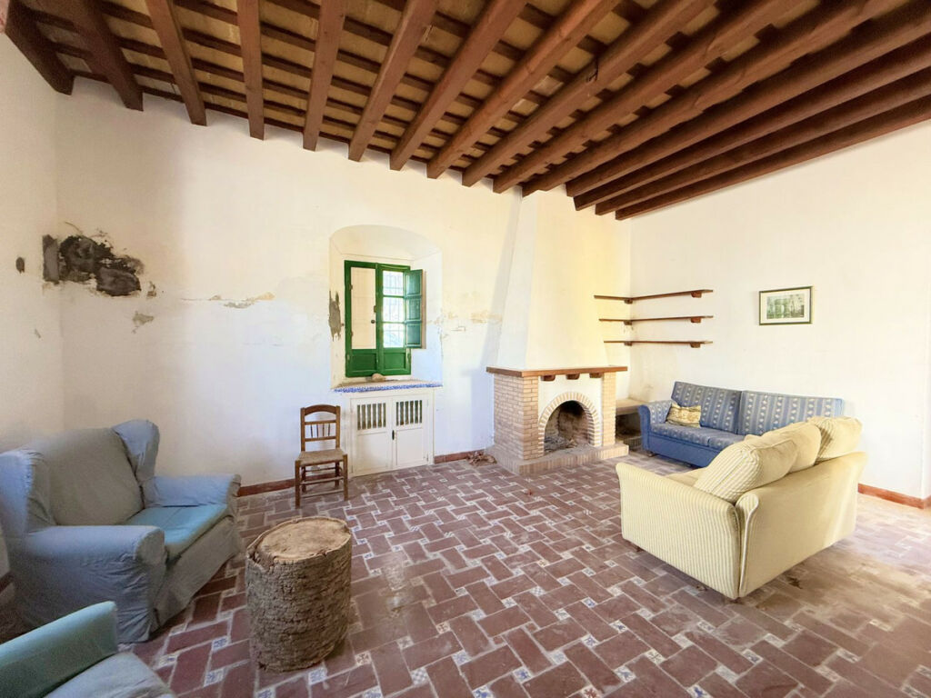 Finca - Cortijo Arcos de la Frontera Cádiz - image 8