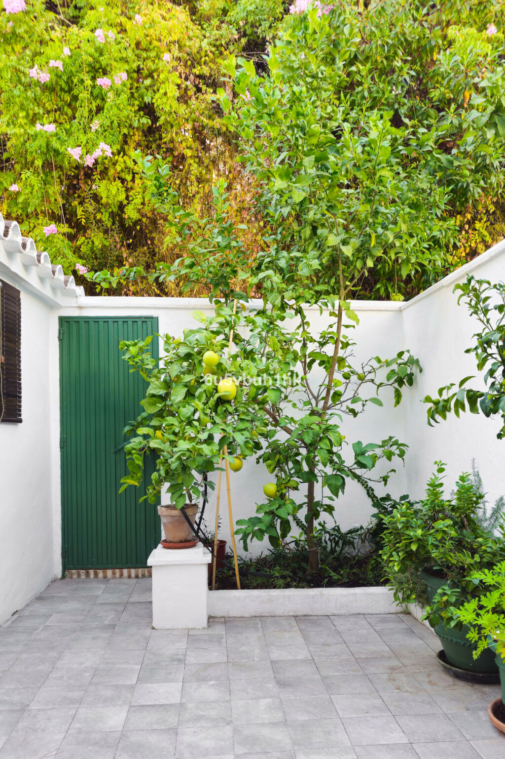 Townhouse The Golden Mile Málaga - image 8
