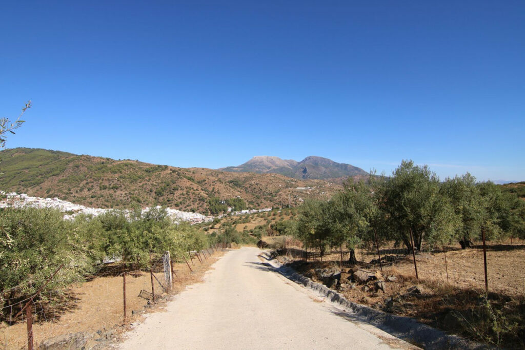 Land Tolox Málaga - image 8