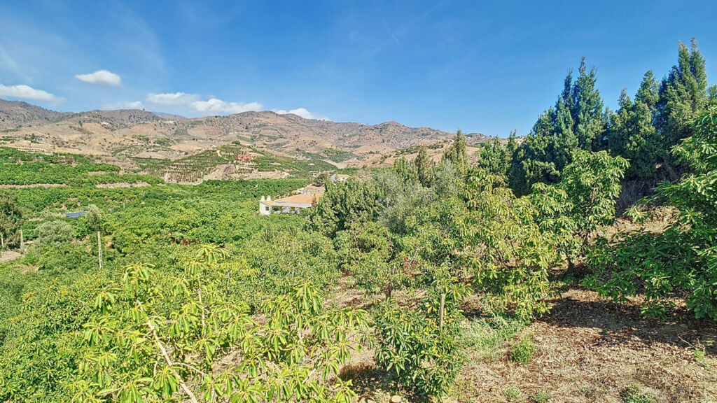 Finca - Cortijo Vélez-Málaga Málaga - image 80